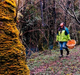 Capítulo 1: Claudia Salinas (Artesana en tintes naturales)