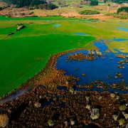 Capítulo 1: Claudia Salinas (Artesana en tintes naturales)