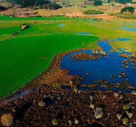 Capítulo 1: Claudia Salinas (Artesana en tintes naturales)
