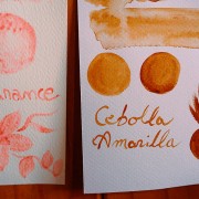 Capítulo 1: Claudia Salinas (Artesana en tintes naturales)