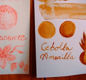 Capítulo 1: Claudia Salinas (Artesana en tintes naturales)