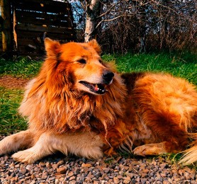 Capítulo 1: Claudia Salinas (Artesana en tintes naturales)