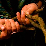 Capítulo 5: Paulina Castillo (Licenciada en Artes y artesana en lana)