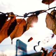 Capítulo 5: Bárbara Muñoz (Baterista)