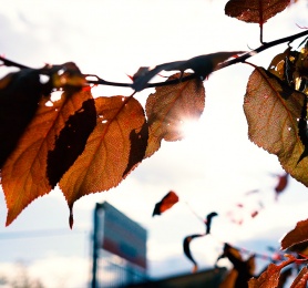 Capítulo 5: Bárbara Muñoz (Baterista) Capítulo 5: Bárbara Muñoz (Baterista)