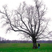 Capítulo 6: Brenda Torres (Música electrónica)