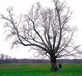 Capítulo 6: Brenda Torres (Música electrónica)
