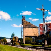 Capítulo 2: Fernanda Sandoval (Afroconexión - Danza Afro)