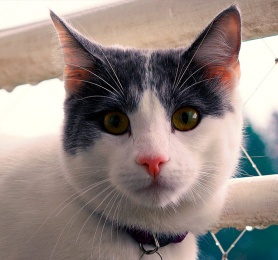 Capítulo 4: Romina Cuevas (Maquilladora)