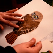 Capítulo 1: Sandra Aranda (Artesana en lana)