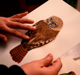 Capítulo 1: Sandra Aranda (Artesana en lana)