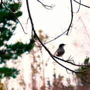 Capítulo 1: Sandra Aranda (Artesana en lana)