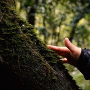 Capítulo 3: Anatoe Arancibia (Fotógrafa de naturaleza)